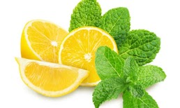 Natural Lemon and Mint